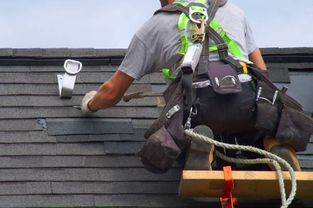 Best Roof Gutter Cleaning  in Genoa, IL