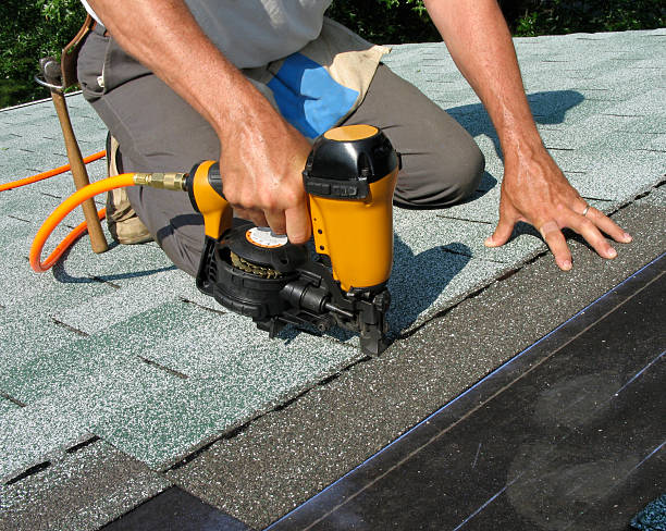 Best Commercial Roofing Services  in Genoa, IL