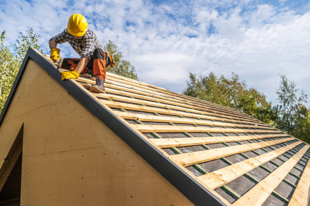 Best Roof Leak Repair  in Genoa, IL