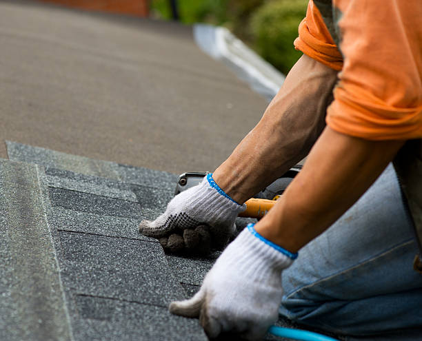 Best Storm Damage Roof Repair  in Genoa, IL