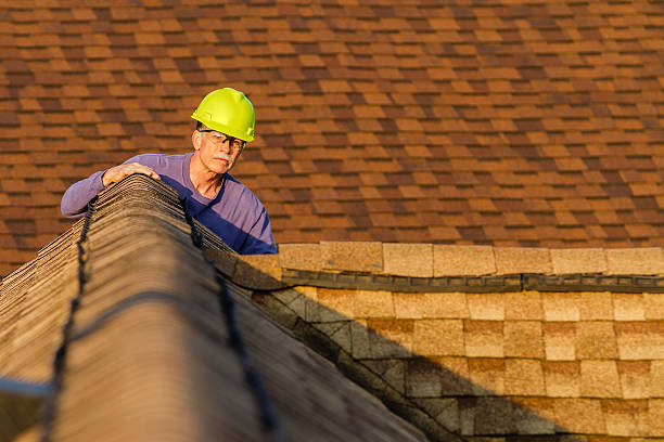 Best Local Roofing Companies  in Genoa, IL