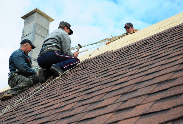Best Best Roofing Contractors  in Genoa, IL