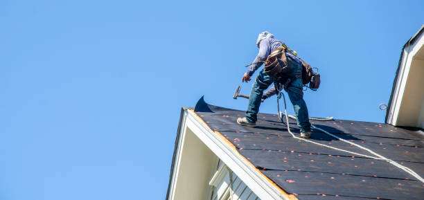 Professional Roofing Contractor in Genoa, IL
